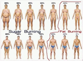 Body fat percentage - Wikipedia